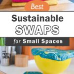 sustainable swaps pin wp