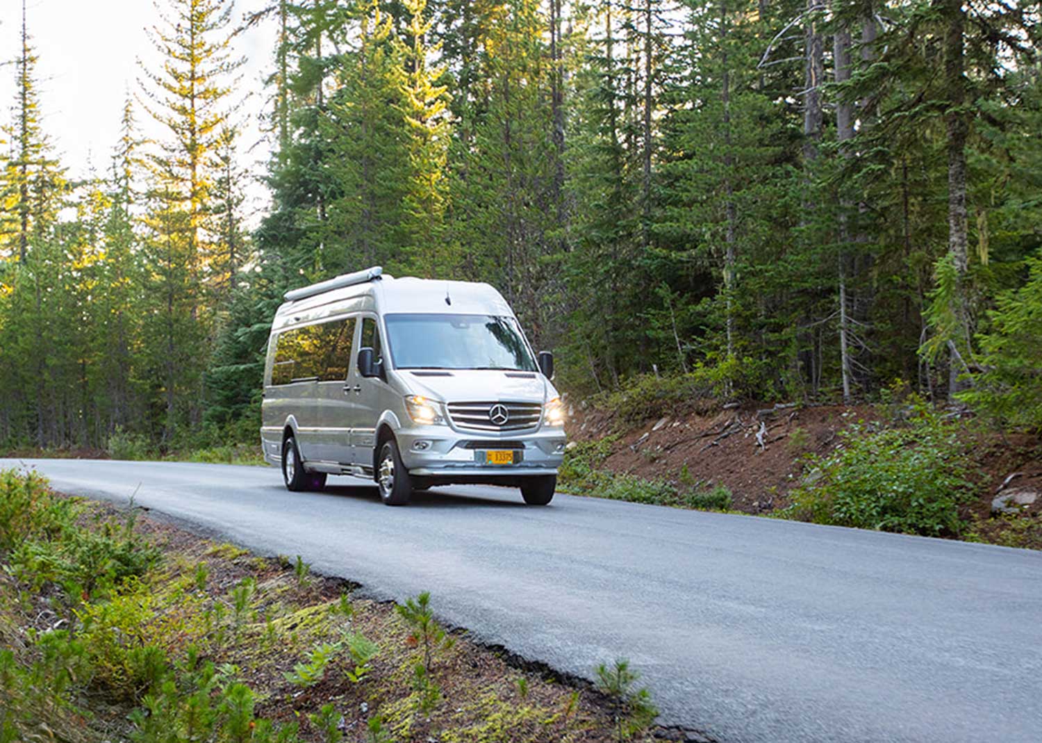 Class B van driving down the road through the woods