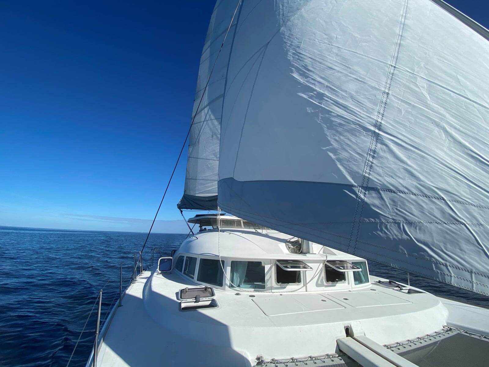 close up of catamaran under sail