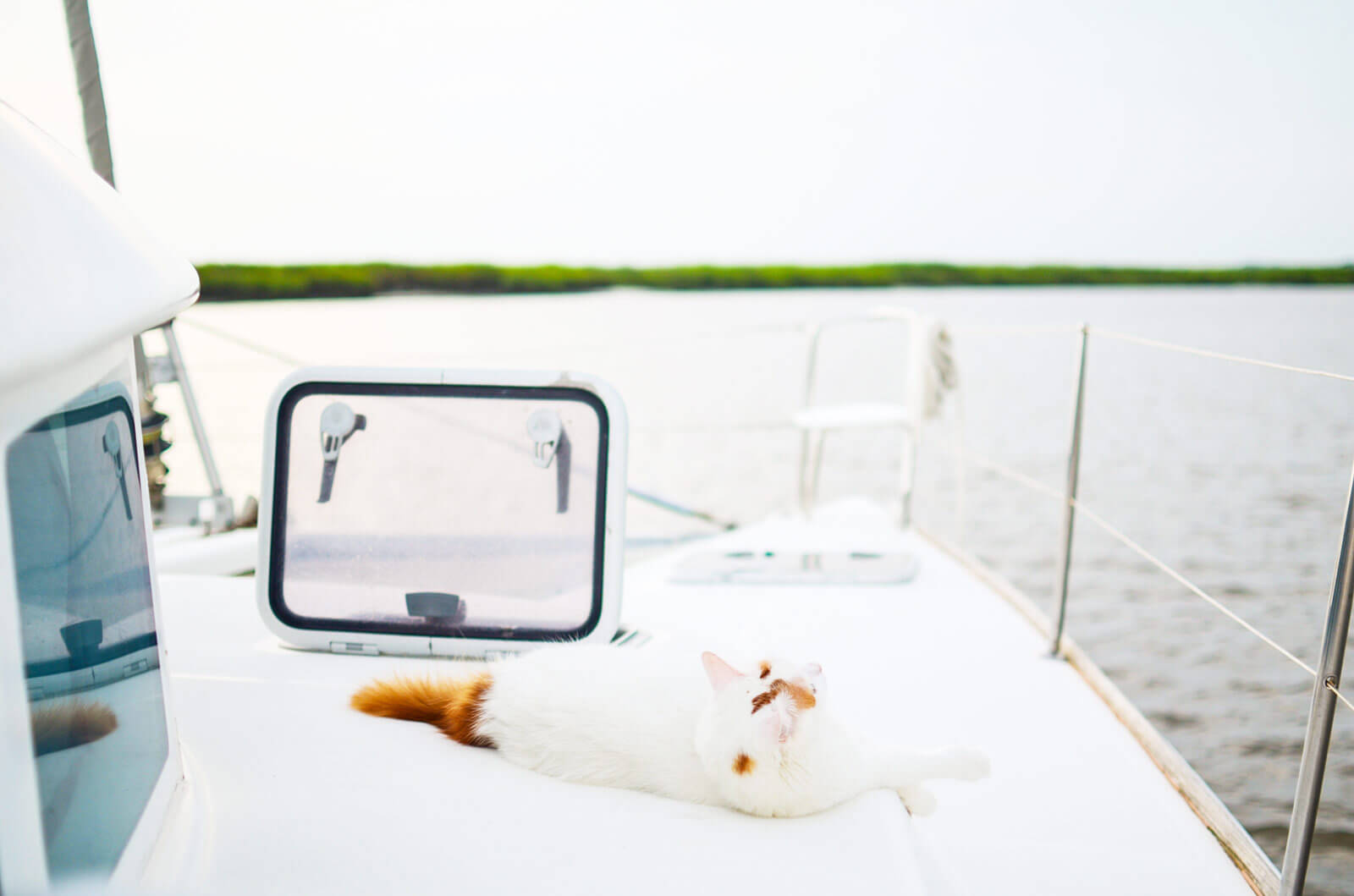 cat lounging on the front of a sailboat at anchor