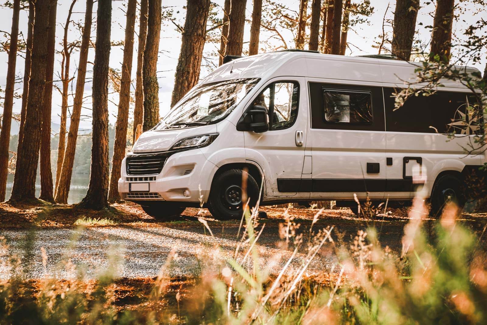 van parked on driveway in woods