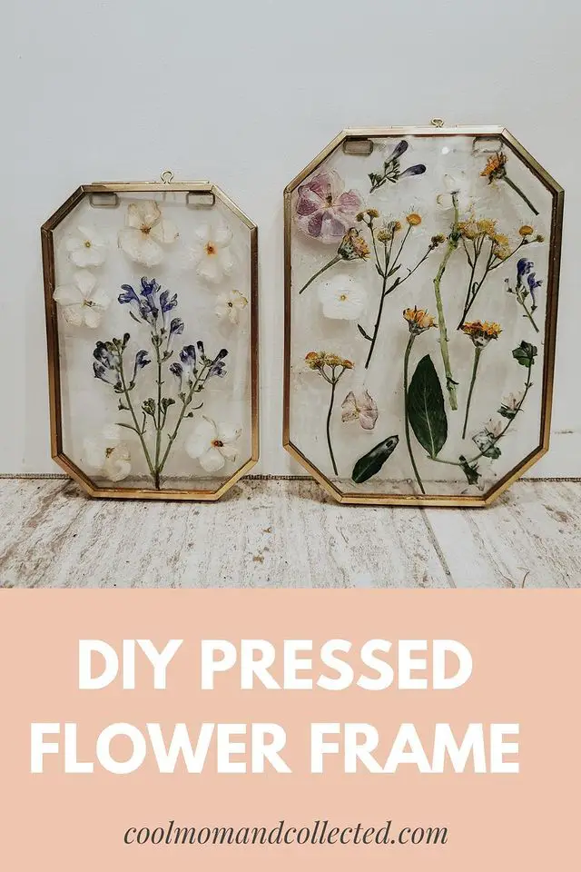DIY pressed flower frame - two beautiful pressed flower frames sitting against a wall
