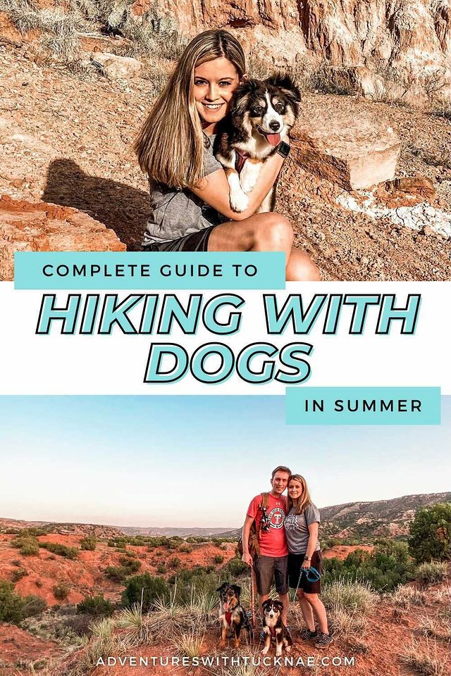 hiking with dogs in summer - couple with dogs hiking