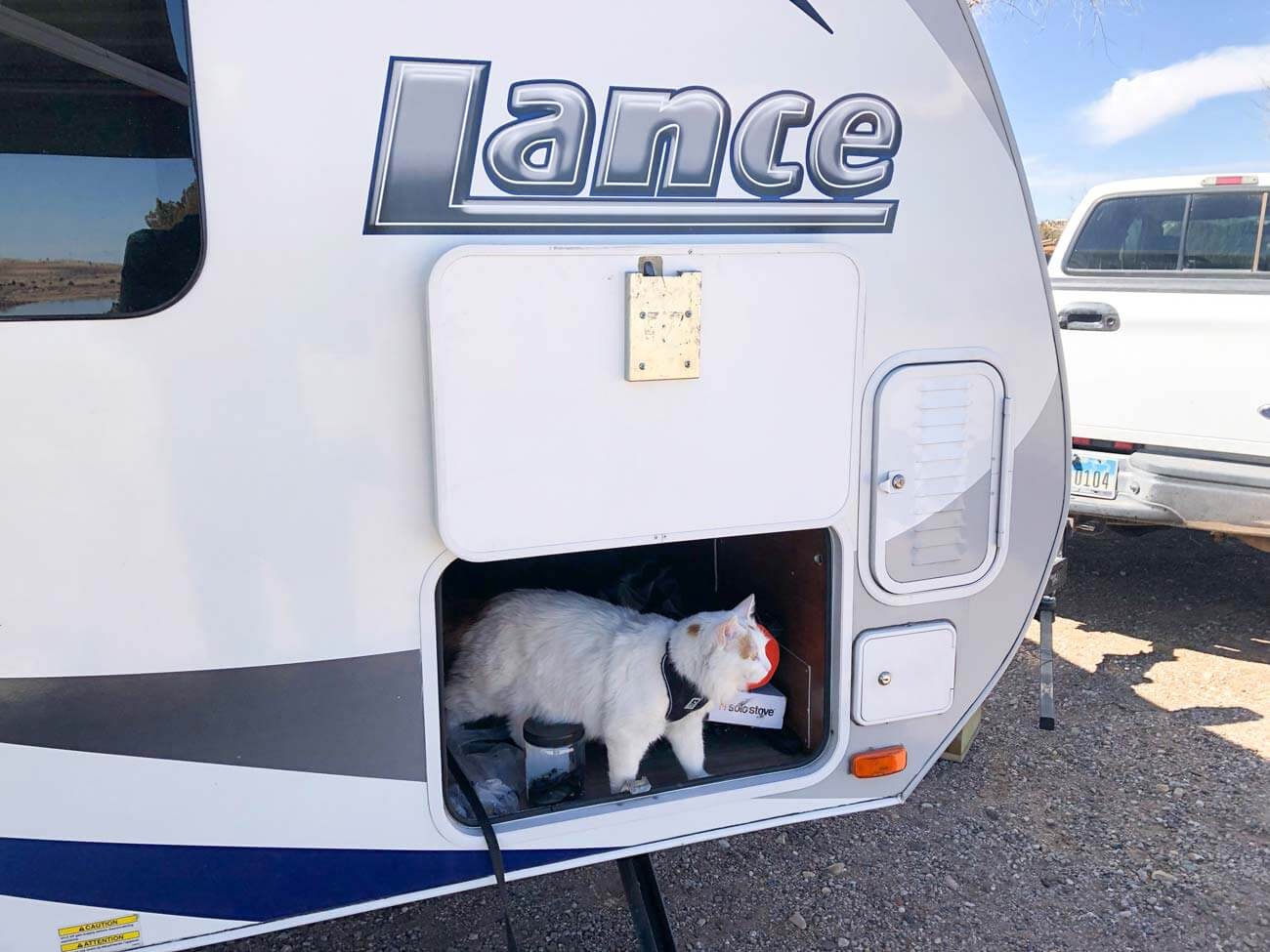 cat in exterior storage of travel trailer