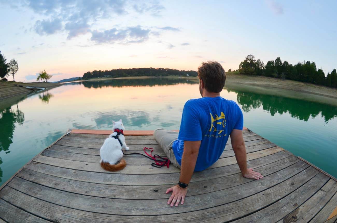 cat on lake at sunset