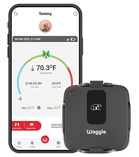 Waggle RV Pet Safety Temperature Sensor (Data Plan Required)