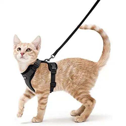 Cat Harness and Leash for Walking by rabbitgoo, Adjustable Vest
