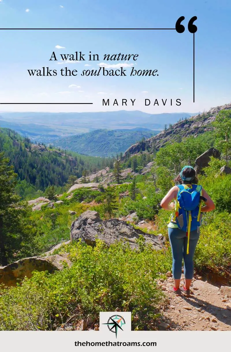 pin image of a hiker at an overlook staring at the valley and mountain landscape with a mary davis quote overlayed on the image