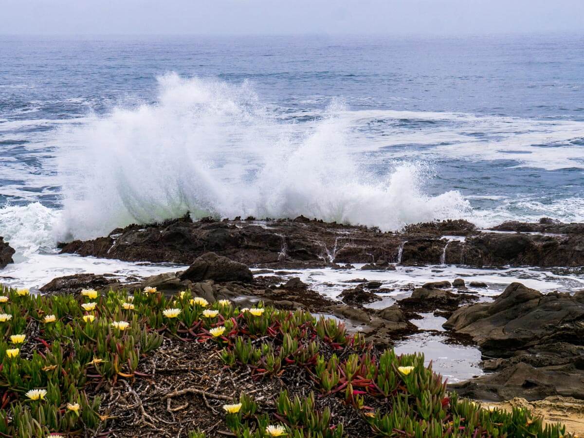 Ocean wave crashing into rocks along a pull off on the Pacific Coast Highway.