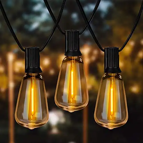 Outdoor String Lights Edison