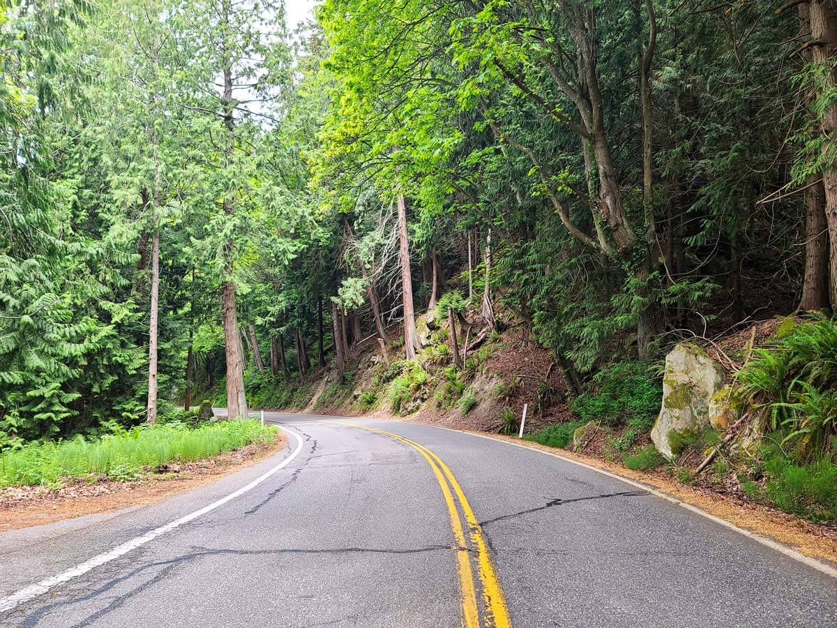 Open road in the forest from point of view behind the wheel.